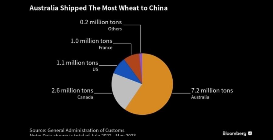图：澳大利亚成为中国最大的小麦供应国 来源：Bloomberg