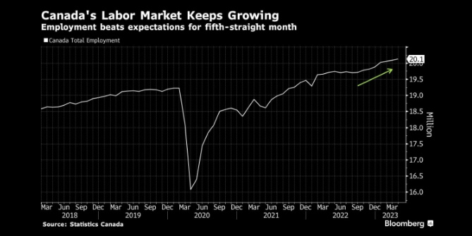 图：加拿大就业市场仍然过热，就业增长连续5个月超过预期 来源：Bloomberg