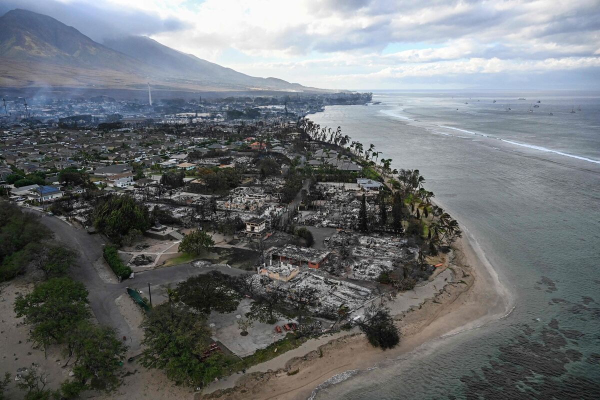 夏威夷毛伊岛大火已致80人遇难 贝索斯将捐1亿美元帮助灾后重建